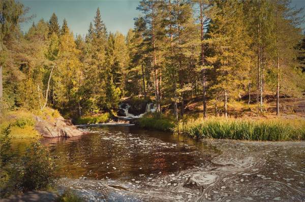 �������