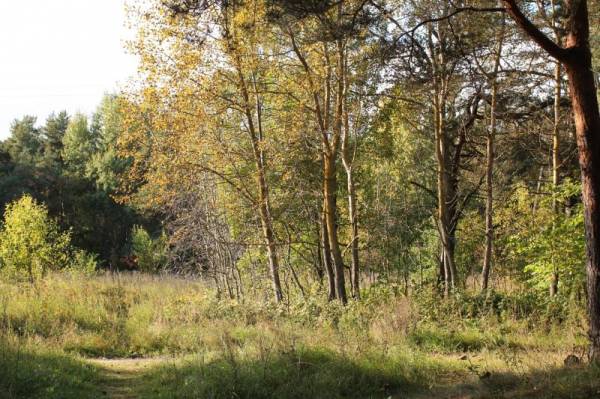 � ������