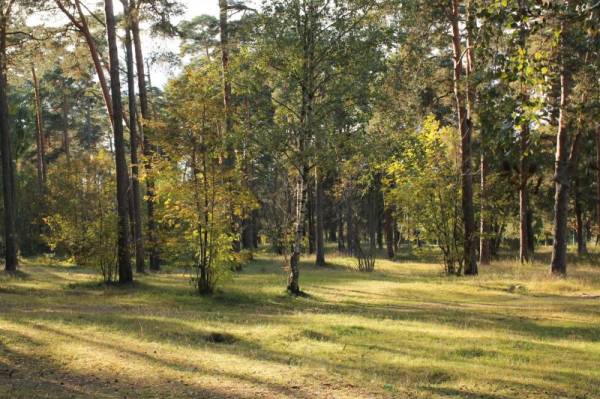 ������������