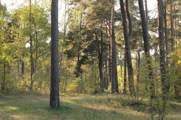 ������������