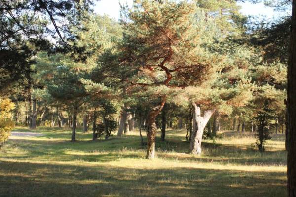 ��������� �������