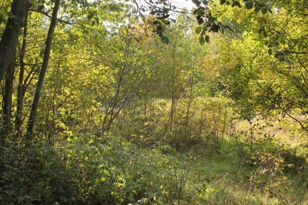 �������������