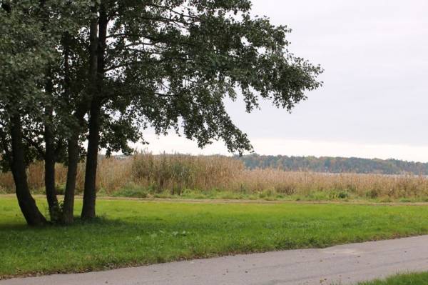 ������� �����-2