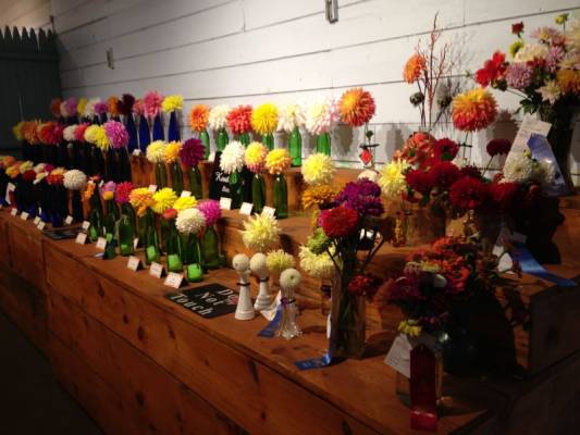 ������ ����� ����