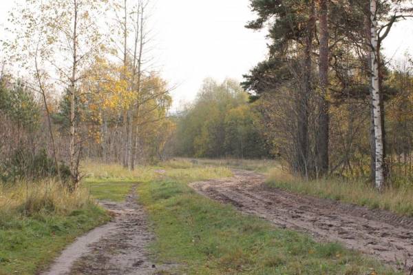 ������ � ����