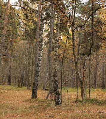 ���������� �����