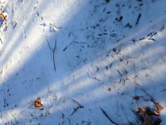 ������� �� ����� ����, ����� �� �����