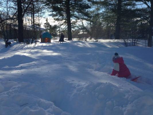 ����� ����� ���� ����� ���������